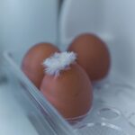 Sådan organiserer du varer optimalt i frostrum